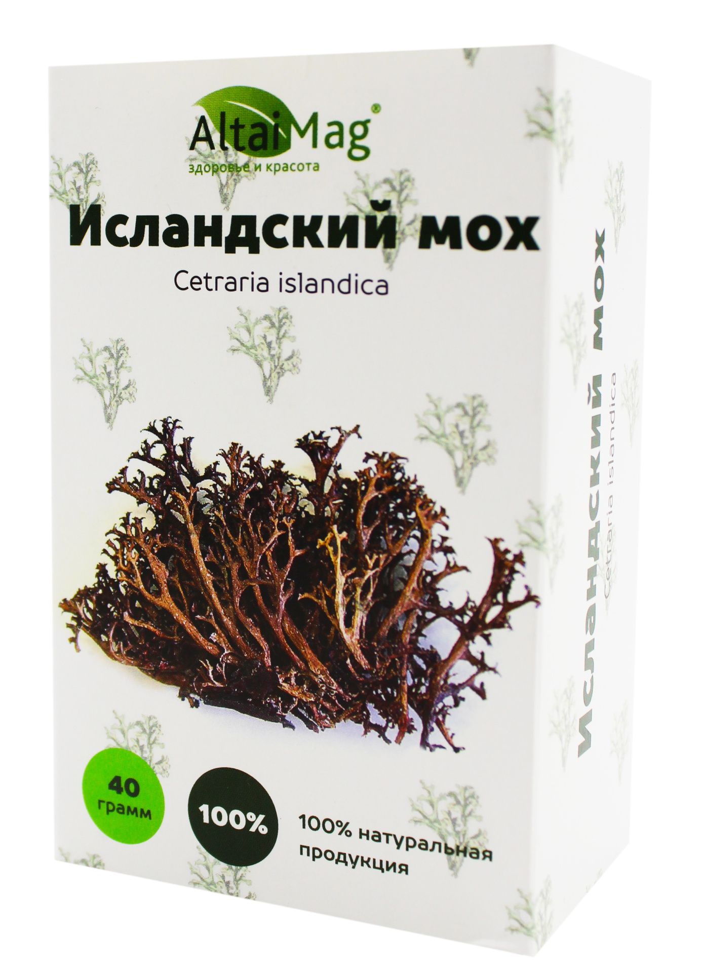 Исландский мох (цетрария) АлтайМаг 40г в Бресте — купить недорого по низкой  цене в интернет аптеке AltaiMag